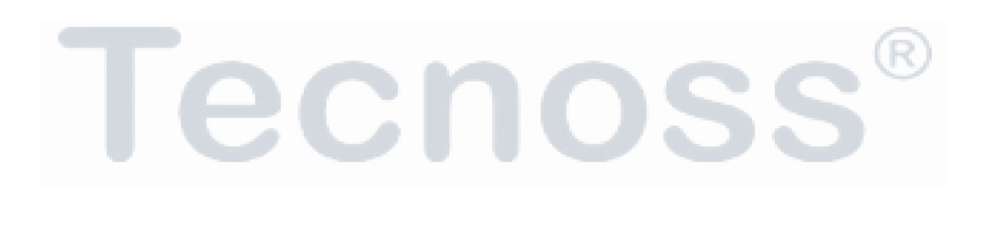 Logo Tecnoss ok 2
